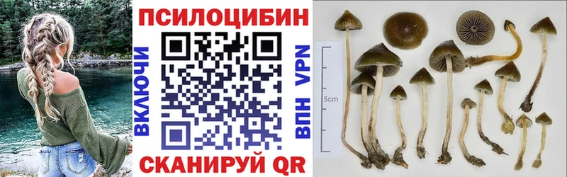 где найти   Яхрома  Галлюциногенные грибы мухоморы 
